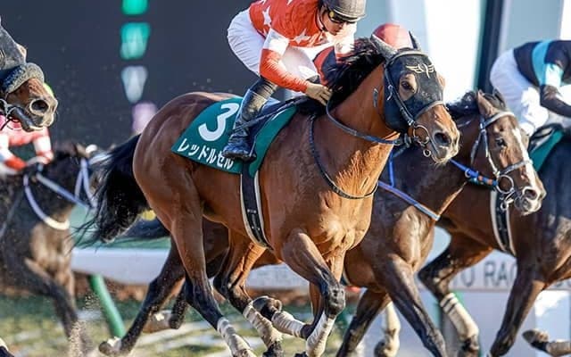 【フェブラリーS予想】4歳世代「大不振」を証明する数々の理由…。若さが「決め手」のダートGIも今年は違う!?