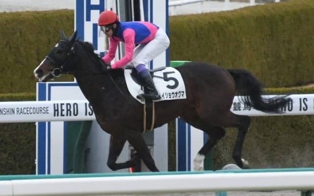 【阪神5R新馬戦結果】武豊騎手騎乗メイショウオグマが早め先頭から押し切り初陣V