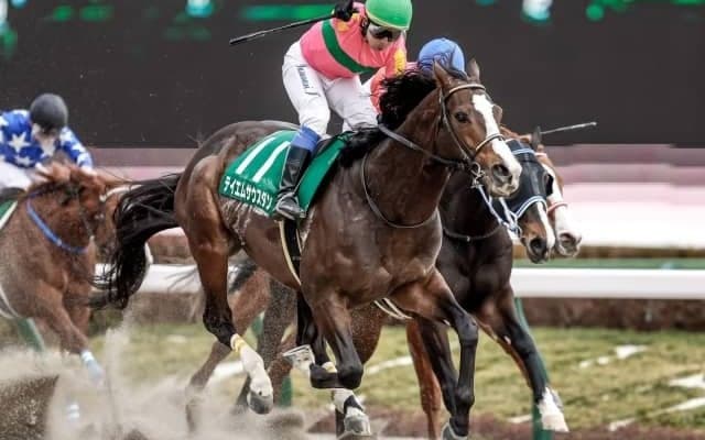 【フェブラリーS】テイエムサウスダン岩田康騎手「目一杯の仕上げ。GIをプレゼントしたい。恩を返したい」/ねぇさんのトレセン密着