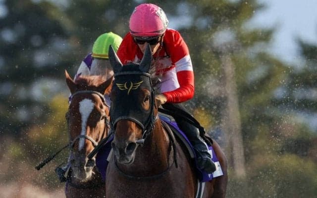 【フェブラリーS】レッドルゼルは3枠5番