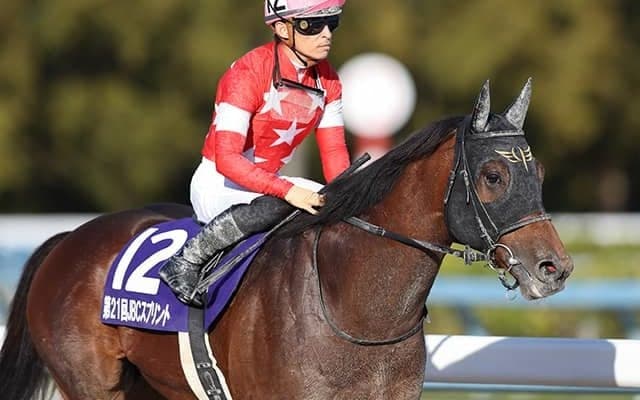 【今日の注目ポイント】今年最初のJRA・GIフェブラリーS、小倉では小倉大賞典