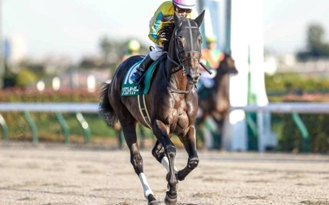 【フェブラリーS予想】コース適性が鍵になるダートの頂上決戦