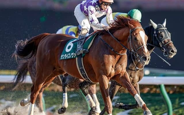 【AI予想・フェブラリーS】AI本命は「超・大穴」！ あの「高齢馬」の豪脚が府中の長い直線で炸裂する!?