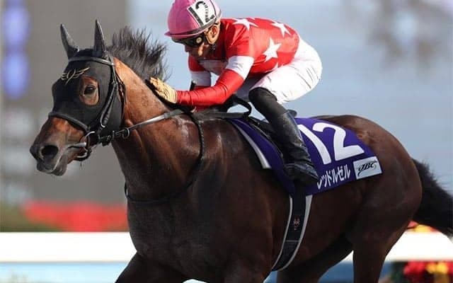 【フェブラリーS 13時時点オッズ】レッドルゼルが単勝4.2倍の1番人気、カフェファラオが5.6倍で続く