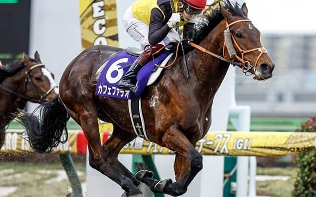 【フェブラリーS】砂の王者復権！カフェファラオが史上2頭目の連覇！