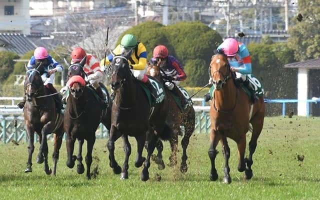 【JRA・WIN5】上位人気の決着が続き的中1433票、配当39万8430円に