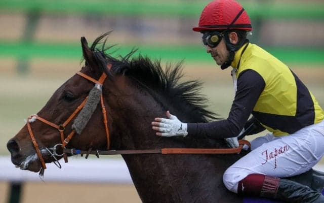 【フェブラリーS】福永「気分を損ねないよう注意した」カフェファラオが連覇