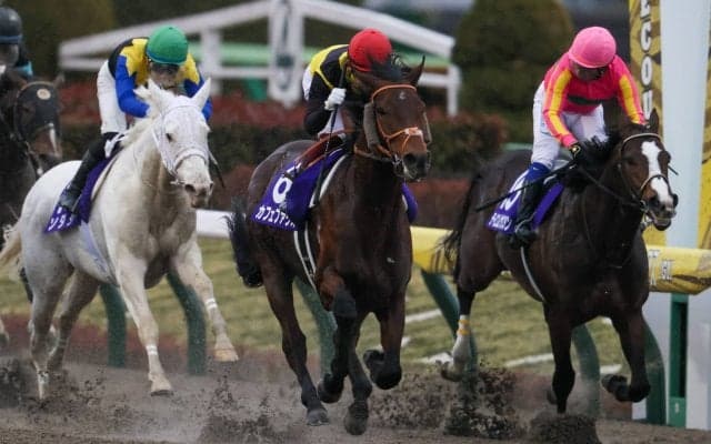 WIN5は1433票的中！カフェファラオが快勝