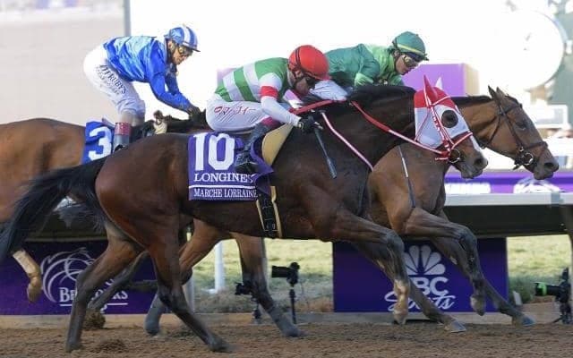 今週から中山開催　重賞はGII中山記念とGIII阪急杯　海外ではサウジカップデー開催/今週の競馬界の見どころ