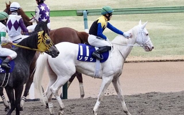 【フェブラリーS】吉田隼「牝馬で良く頑張ってくれた」レース後ジョッキーコメント