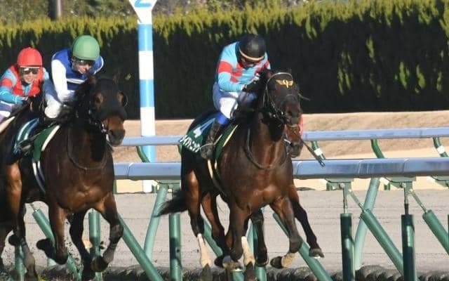【阪急杯見どころ】ダイアトニックが久々の重賞制覇を狙う