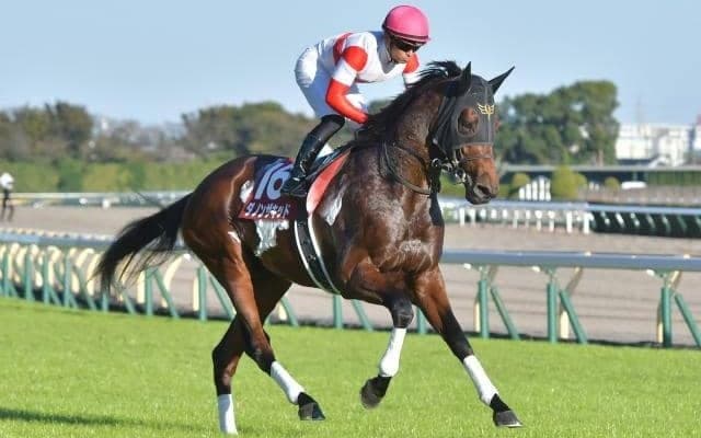 【中山記念見どころ】登録唯一のGI馬ダノンザキッドが人気の中心