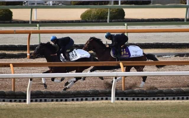 【中山記念想定騎手】ダノンザキッドは川田将雅騎手、カラテは菅原明良騎手