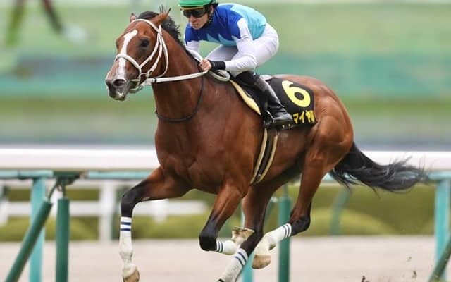 【AI予想・中山記念】人工知能も「4歳世代」に注目!? 復調気配漂う「あの馬」を本命候補に抜擢