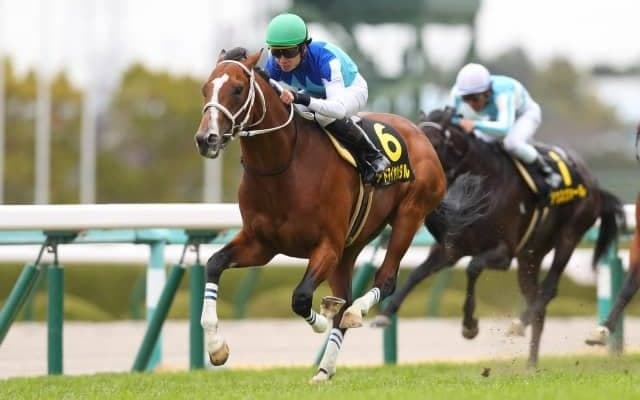 【中山記念展望】今年は地力拮抗のメンバー構成、あの馬の重賞制覇を期待したい