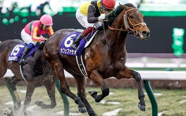 米国で種付け料下落のアメリカンファラオ産駒 日本での成績は良好