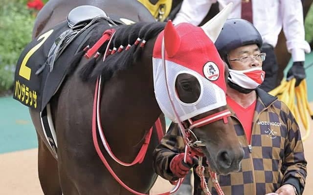 「中山記念勝っといてね」「任せといてください」矢作師とベテラン厩務員の絆、パンサラッサ“大逃げ“への信頼