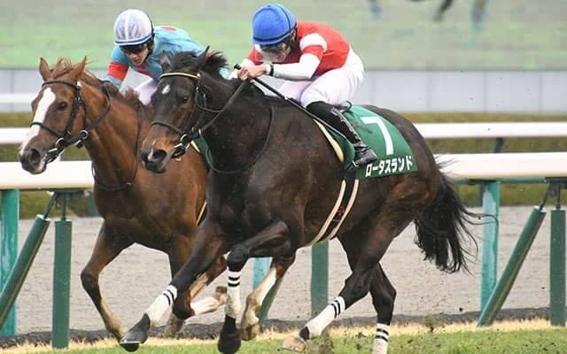 昨夏より22キロ増で本格化顕著 道悪巧者のロータスランドが重賞2勝目