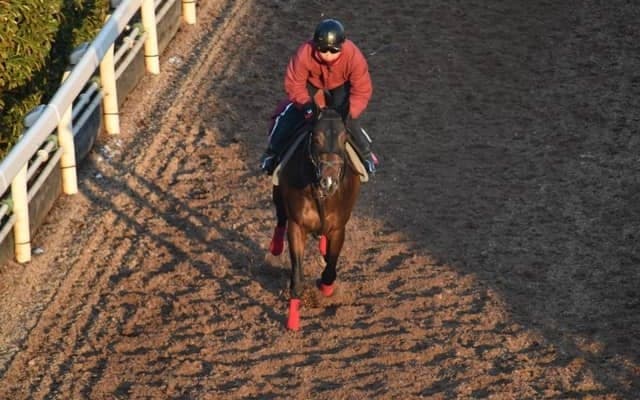 ジレトールなど、先週の入厩情報/栗東トレセンニュース