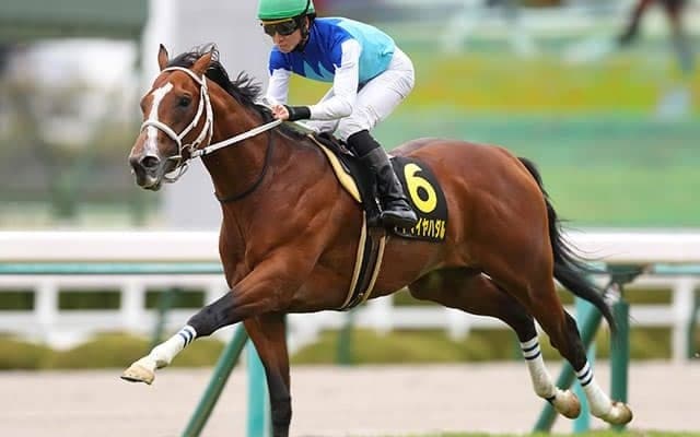 キーワードは「キャリア17戦以内」 高いハードルをクリアしたAIが認めた実績馬とは？