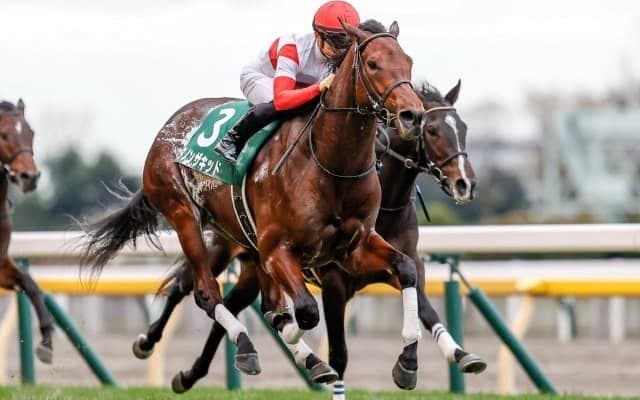 【中山記念予想オッズ】ダノンザキッドが予想1番人気