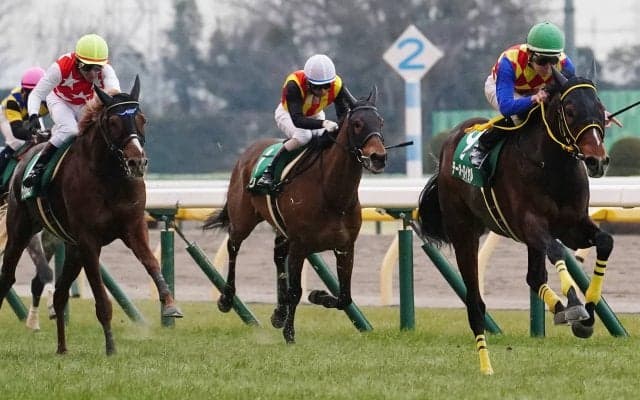 【ダイヤモンドS】テーオーロイヤルが4連勝で重賞初制覇
