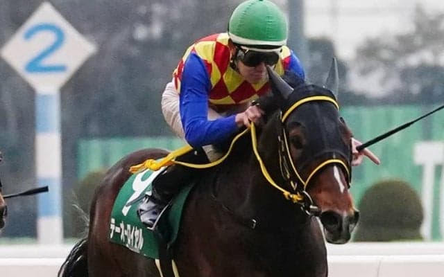 【ダイヤモンドS】菱田「かからないのが強み」テーオーロイヤルが重賞初制覇