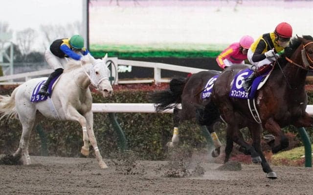 【フェブラリーS】カフェファラオが連覇！東京コースは無敗