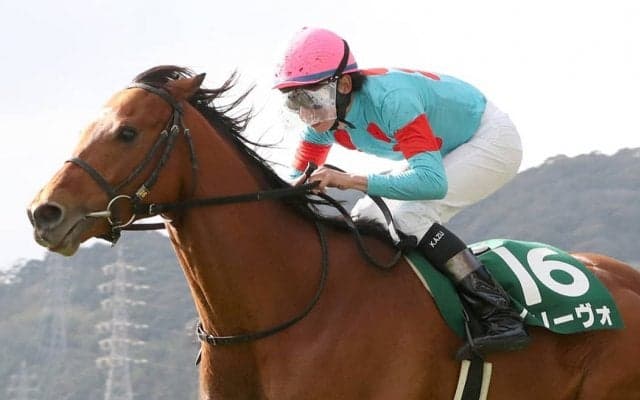 【小倉大賞典】横山和「幅広い戦法がとれる」アリーヴォが重賞初制覇