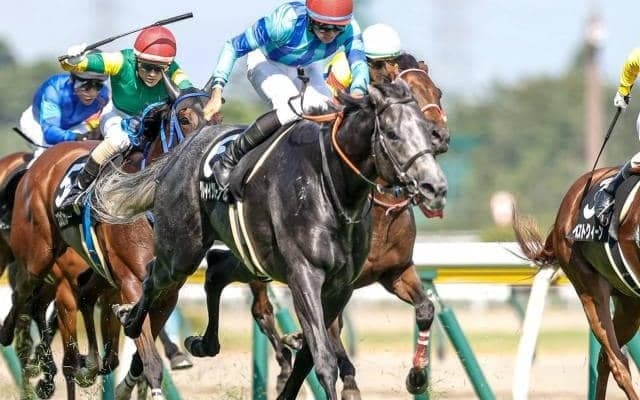 【阪急杯予想オッズ】グレイイングリーンが予想1番人気