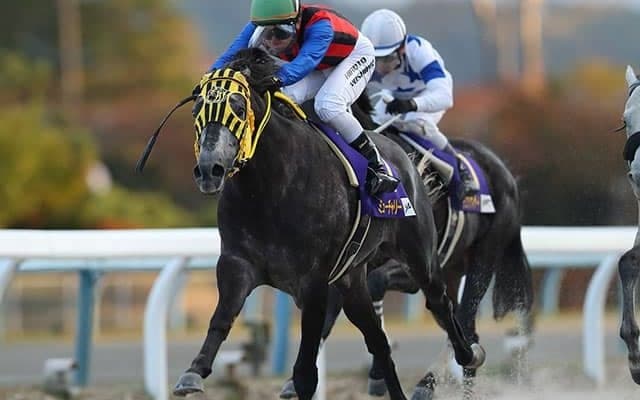 JBCクラシックは1億円に　1着賞金増額が進む地方競馬