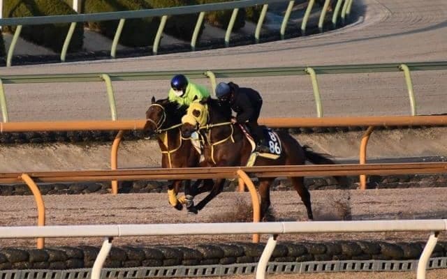 クリンチャーなど、名古屋大賞典追い切り速報/栗東トレセンニュース