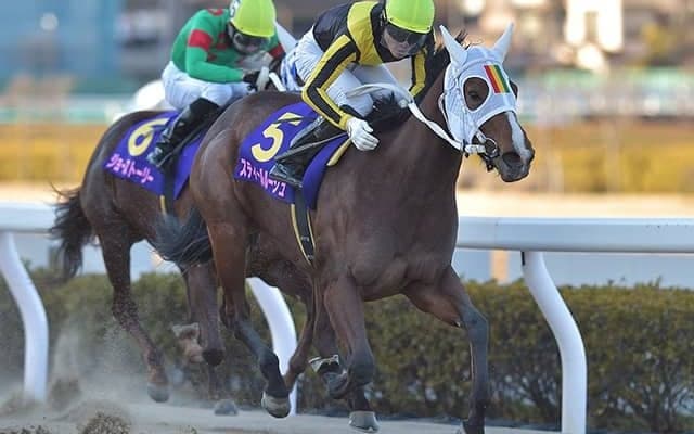 【浦和・ユングフラウ賞結果】スティールルージュが押し切り浦和桜花賞への切符獲得