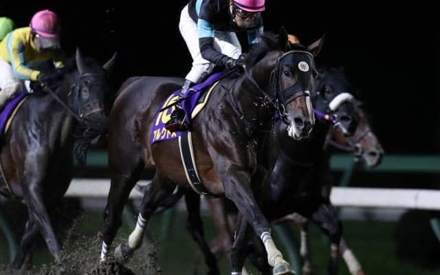 【次走】アルクトスはゴドルフィンマイルを視野に　栗田師「今週中に決めたい」