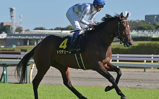 【弥生賞想定】昨年の2歳王者ドウデュース、きさらぎ賞覇者のマテンロウレオなど