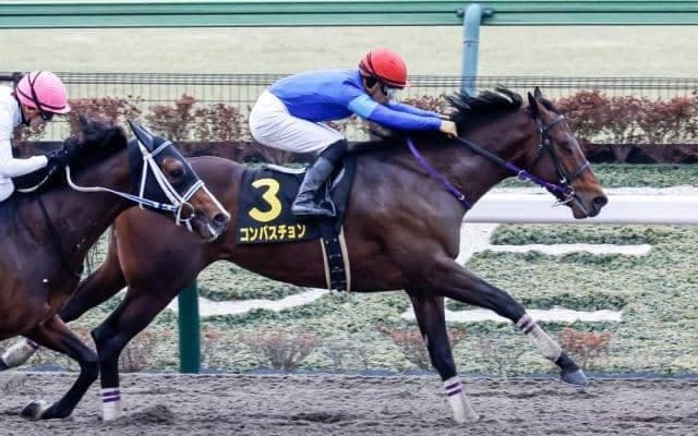 【次走】ヒヤシンスS覇者コンバスチョンはUAEダービーへ