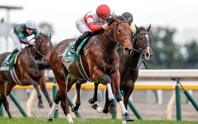 【中山記念出走馬・騎手確定】ダノンザキッド＆川田将雅騎手、アドマイヤハダル＆横山武史騎手など16頭