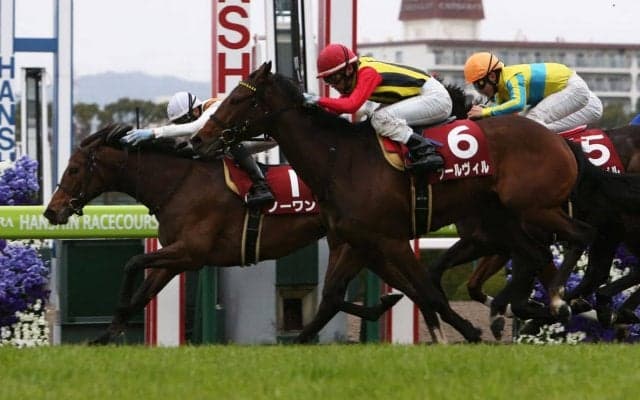 プールヴィルが競走馬登録抹消