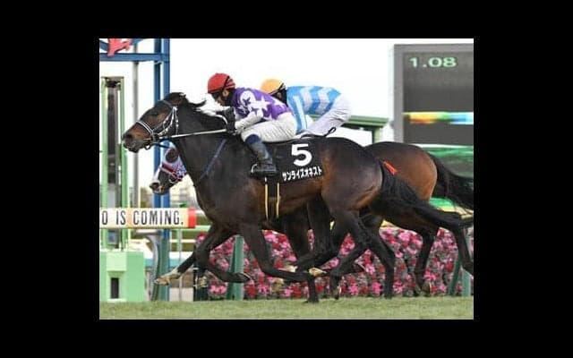 阪急杯は種牡馬のコース成績で絞る。「人気薄」なら逆に激走する前例も