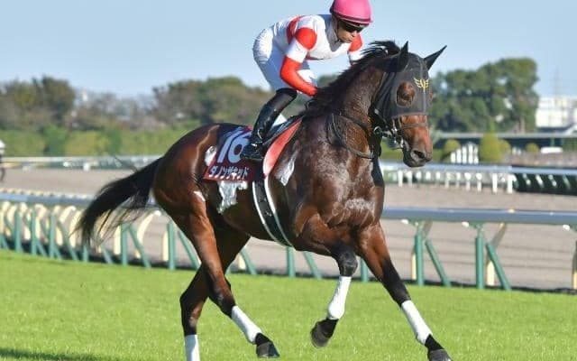 【中山記念枠順確定】ダノンザキッドは8枠15番、アドマイヤハダルは6枠12番