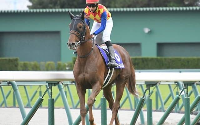 【今日の注目ポイント】春の中山開催が開幕 深夜のサウジCデーに日本馬12頭参戦