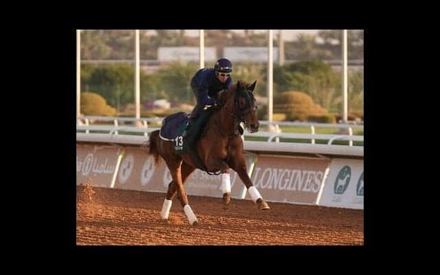 日本馬も12頭が出走するサウジカップ開催。超高額の賞金だけじゃない、世界の有力馬が集う魅力とは