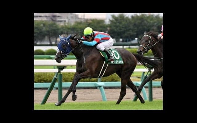 引退厩舎の思惑が絡む中山記念。最後方に構えた牝馬が乱ペースに乗じて漁夫の利を得る