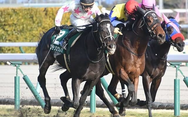 【弥生賞想定】ドウデュースは武豊騎手、マテンロウレオは横山典弘騎手