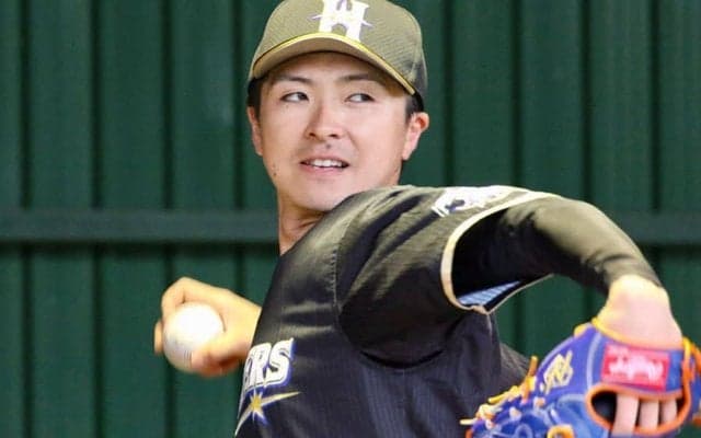 日本ハム上沢が“先発兼監督”でOP戦初陣、1番に近藤　DeNAは牧を4番に起用