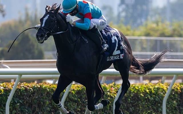 グローリーヴェイズとステラヴェローチェがドバイSCの招待受諾