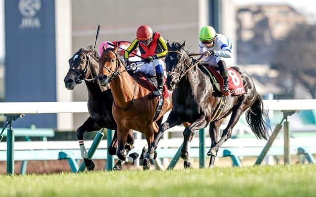 【中山記念予想】この時季としては高めの予想最高気温がどう影響するか/万哲の馬場予報