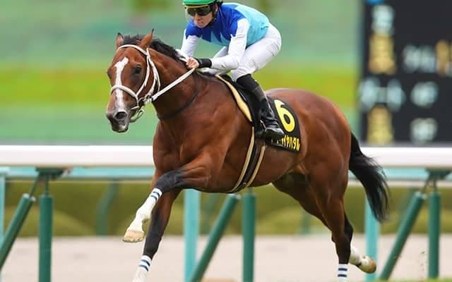 【中山記念予想】関東馬に「地の利」あり!? 人気でも「あの悪夢」がよみがえる関西馬