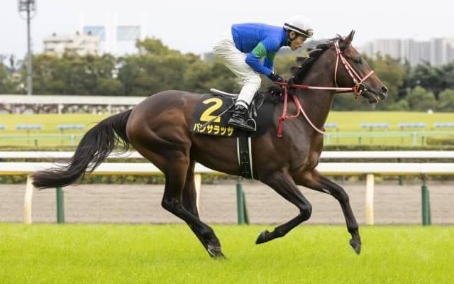 【中山記念予想】国内外の上半期GI競走を占う別定重量のGII戦