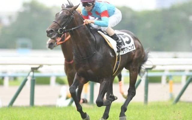 【阪急杯予想】春GIへの切符を手にするのは…高松宮記念へ繋がる重要な一戦